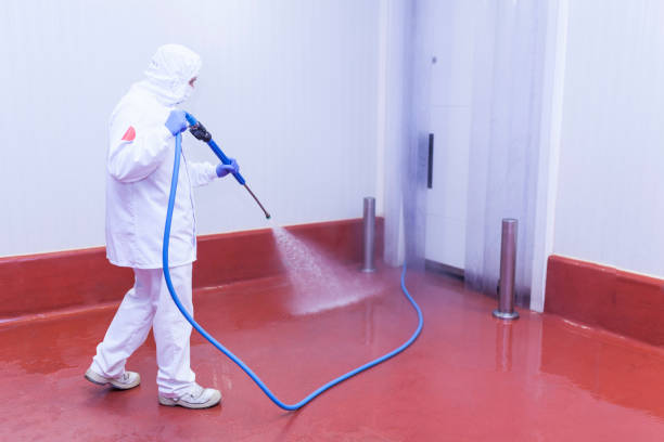 Best Building Exterior Pressure Washing in Eastland, TX